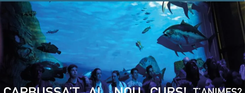 Activitats amb nens - Museu del Port - Tarragona