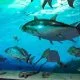 Activitats amb nens - Museu del Port - Tarragona