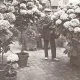 modernisme_flors