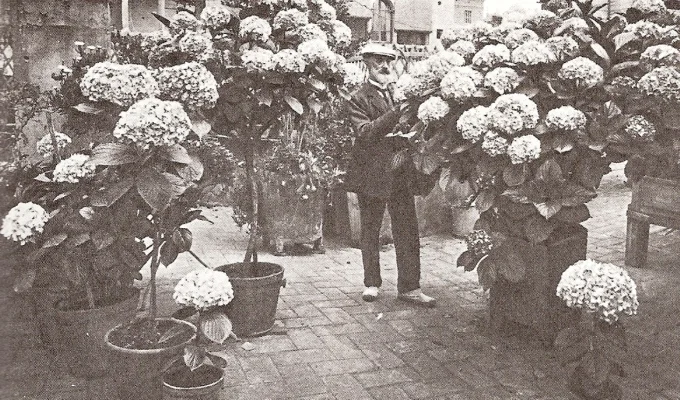 modernisme_flors