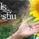 casal-estiu